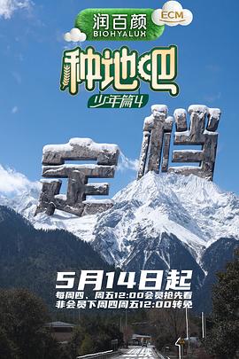 2k2k影视夜宵档轻松片单晚间陪伴剧集